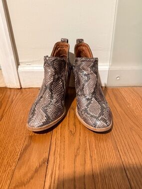 Like New Jeffrey Campbell 'Rosalee' Snakeskin Ankle Booties - Size 9.5 Women's